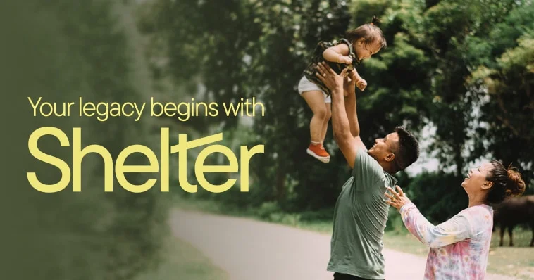 Shelter - OG image