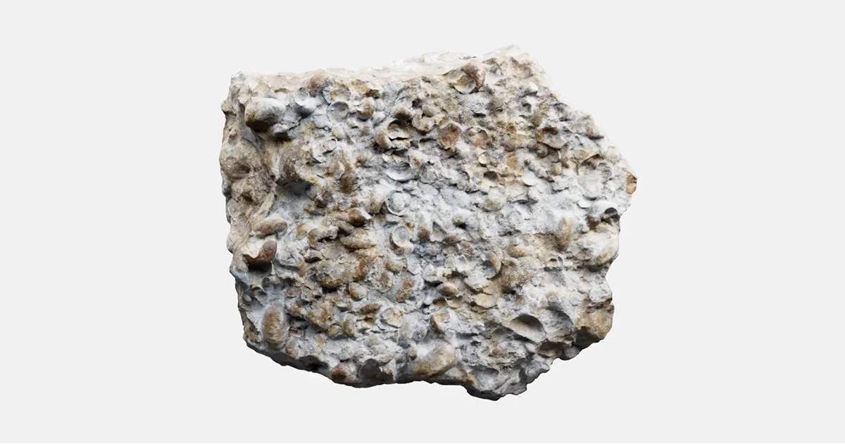 Creech - OG image