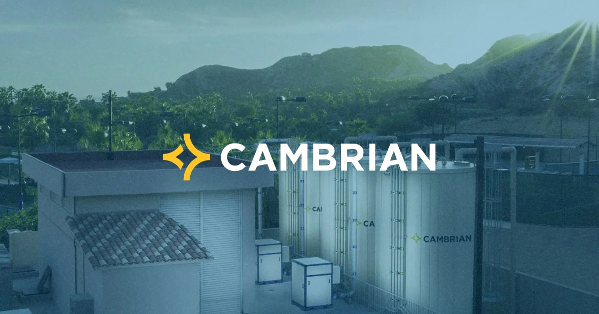 Cambrian - OG image