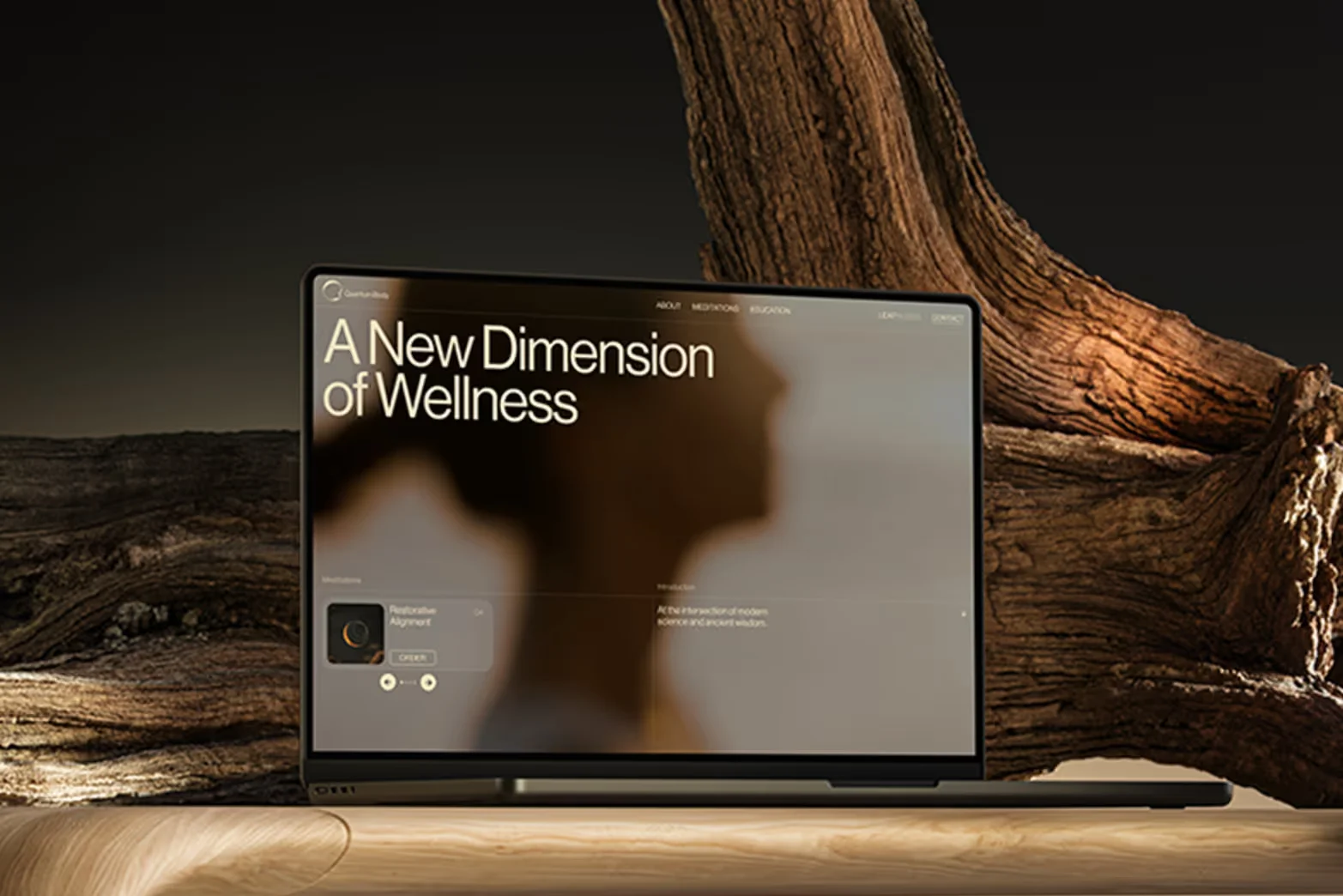 Quantum Body - A New Dimension of Wellness - OG image