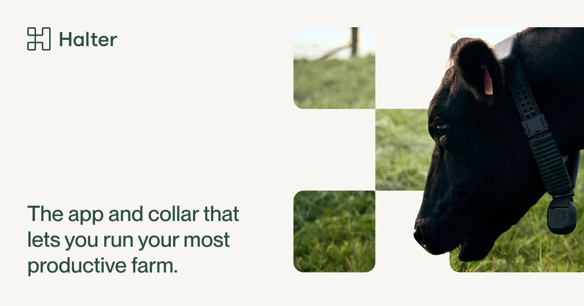 Halter® | Virtual Fencing and Pasture Management - OG image