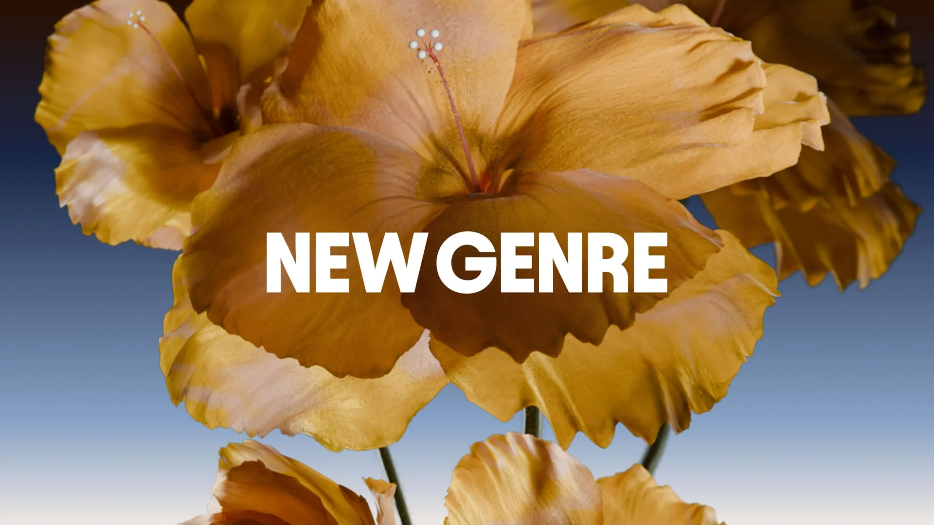 New Genre - Global Design & Technology Studio - OG image
