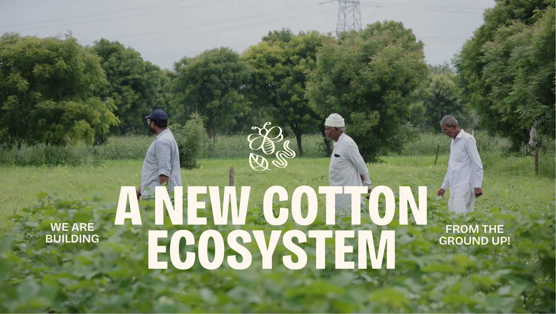 Materra 🌱 Future-Proof Cotton - OG image design inspiration