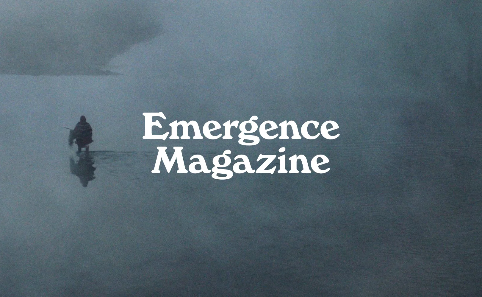 Connecting the threads between ecology, culture, and spirituality – Emergence Magazine - OG image