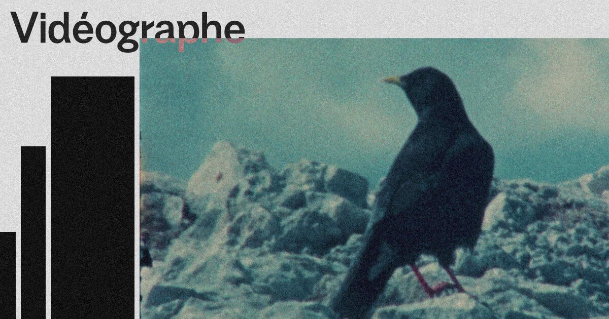 Accueil - Vidéographe - OG image
