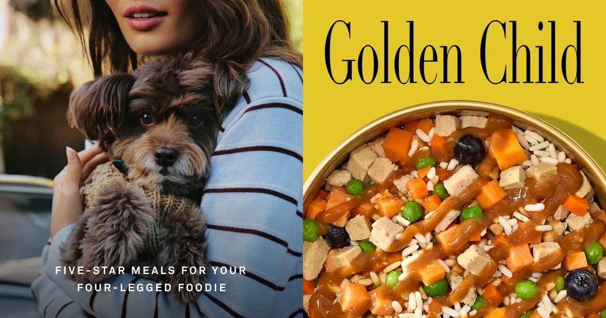 Fresh, Veterinarian-Formulated Dog Food Delivered | Golden Child - OG image