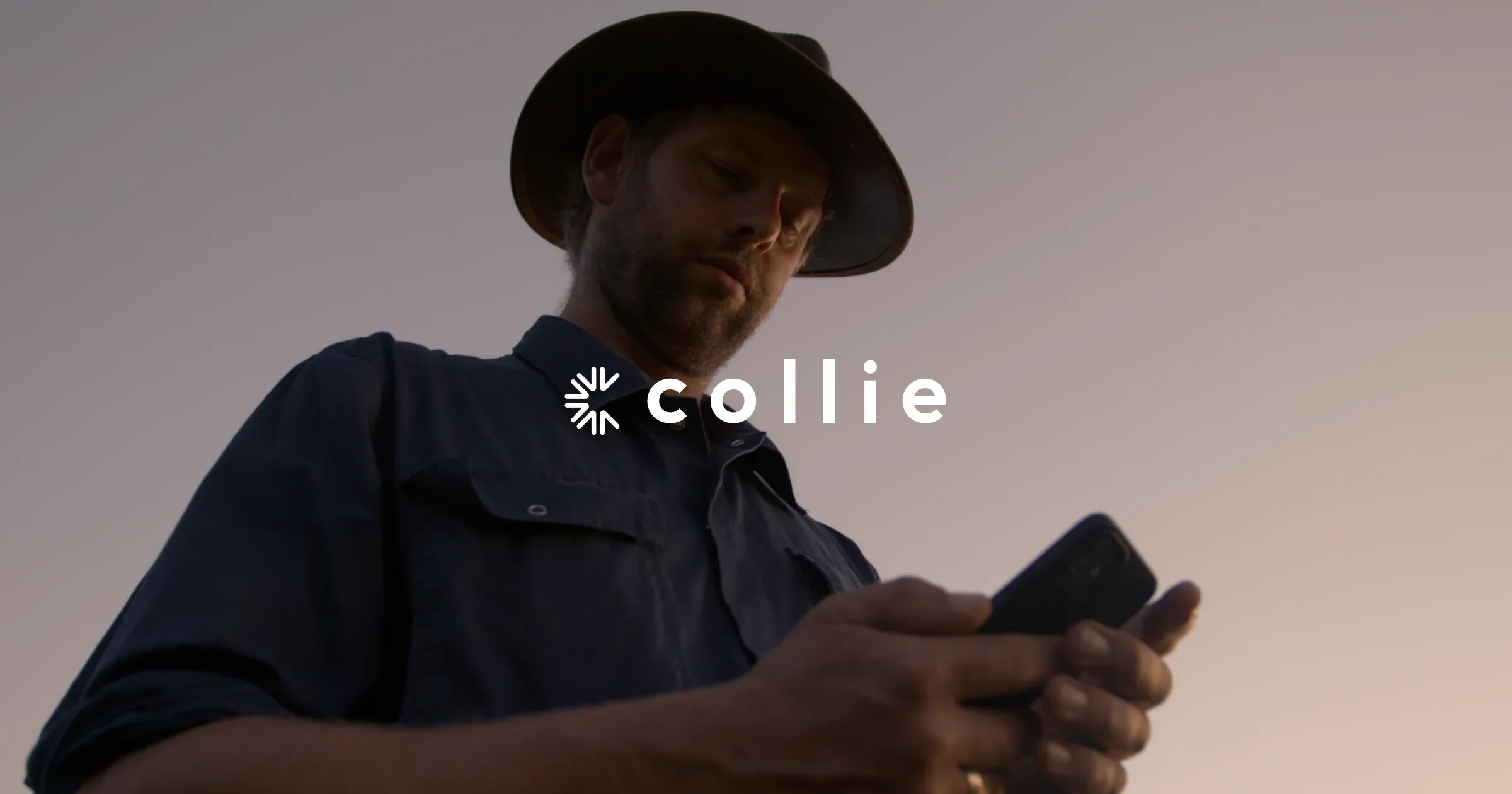 Collie | Manage your herd with just a collar and an app - OG image