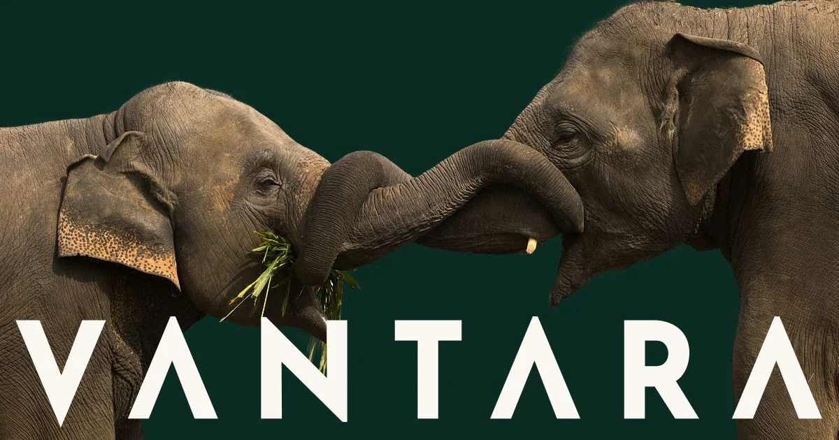 Global Wildlife Rescue and Conservation Centre in Jamnagar | Vantara - OG image