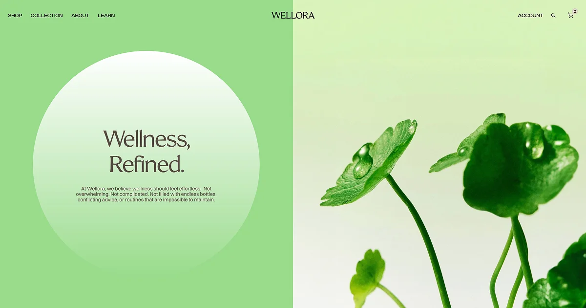 Wellora - Framer E-Commerce Template - OG image